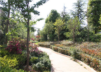 2012041117222573499 曲靖市农业江南娱乐在线登录账号
2019年重点招生专业