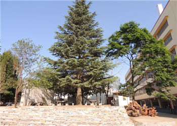 434cdcfee468e5db5f2f9f3347ced649 云南江南app下载-官方网站
工业江南娱乐在线登录账号
2019年中专招生专业介绍