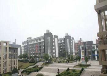 1 (457) 云南城市建设职业江南娱乐在线登录账号
2019年普通中专招生设置