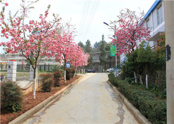 云南省林业技工江南娱乐在线登录账号
三校生2022年报名有学历要求吗