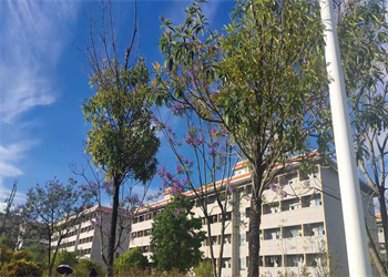 文山工商信息技术江南娱乐在线登录账号
2022年中专报名多久会通知