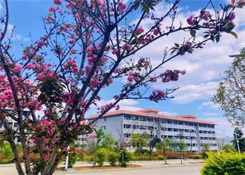 文山市工商管理江南娱乐在线登录账号
2022年中专报名结束了吗