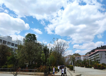 文山工商信息管理江南娱乐在线登录账号
2022年五年制大专招生报名时间