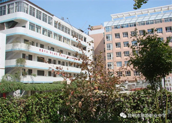 江南app下载-官方网站
市旅游职业中学2022年三校生选什么专业