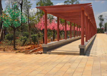 曲靖护理江南娱乐在线登录账号
三校生2023年专业设置