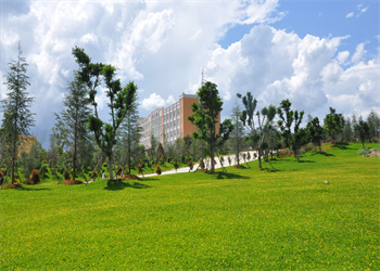 文山教职园区卫生江南娱乐在线登录账号
2023年五年制大专报名要求