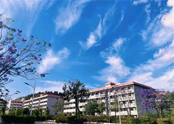 文山工商信息管理江南娱乐在线登录账号
2023年三年制普通中专招生专业