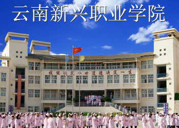 云南新兴职业学院2023年三校生招生简章