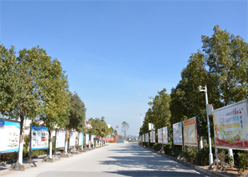 曲靖靖宁职业技术江南娱乐在线登录账号
2024年三校生收费标准