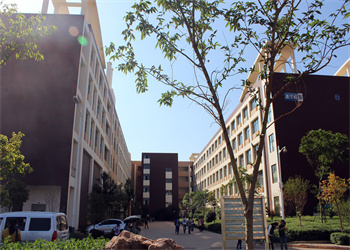 江南app下载-官方网站
市卫生江南娱乐在线登录账号
2025年三年制中专报名方式