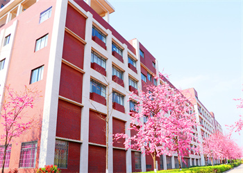 江南app下载-官方网站
市卫生江南娱乐在线登录账号
2025年三年制中专报名电话