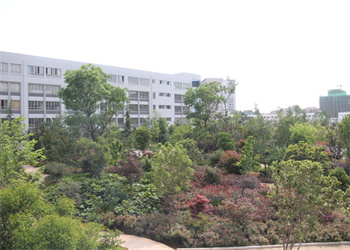 曲靖农业江南娱乐在线登录账号
2025年三年制中专招生政策