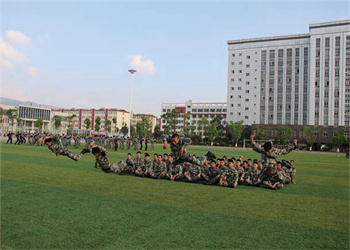 云南职教高考班2025年曲靖航空江南娱乐在线登录账号
招生专业