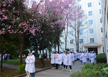 云南职教高考招生报名2025年云南中医药中等专业江南娱乐在线登录账号