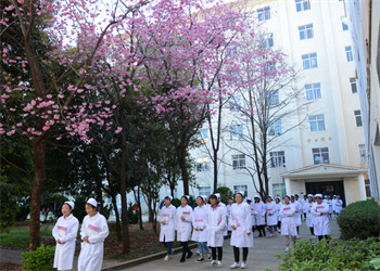 云南中医药职教高考2025年报名时间